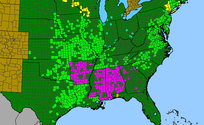The range of Crotalaria sagittalis